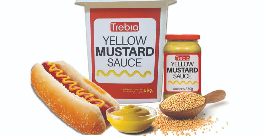 قیمت سس خردل سس خردل امریکن قیمت سس خردل | Mustard
