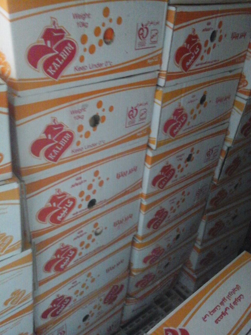 خرید پنیر پیتزای کالبیم kalbim قیمت عمده خرید پنیر پیتزای کالبیم kalbim قیمت عمده