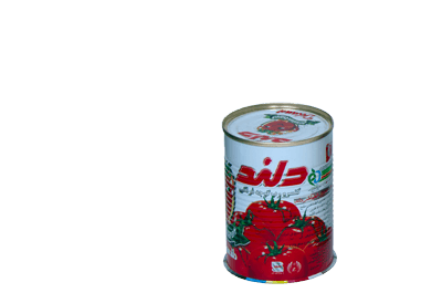 خرید رب گوجه دلند قیمت عمده
