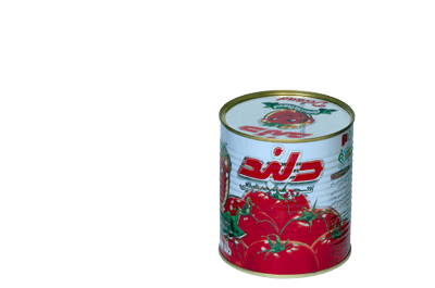 خرید رب گوجه دلند قیمت عمده
