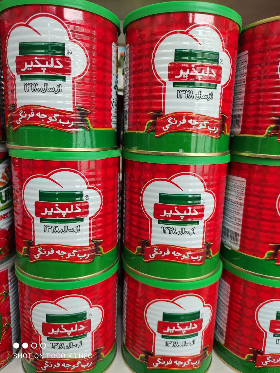 خرید رب گوجه فرنگی دلپذیر قیمت عمده