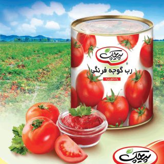 خرید رب گوجه فرنگی پیچک قیمت عمده