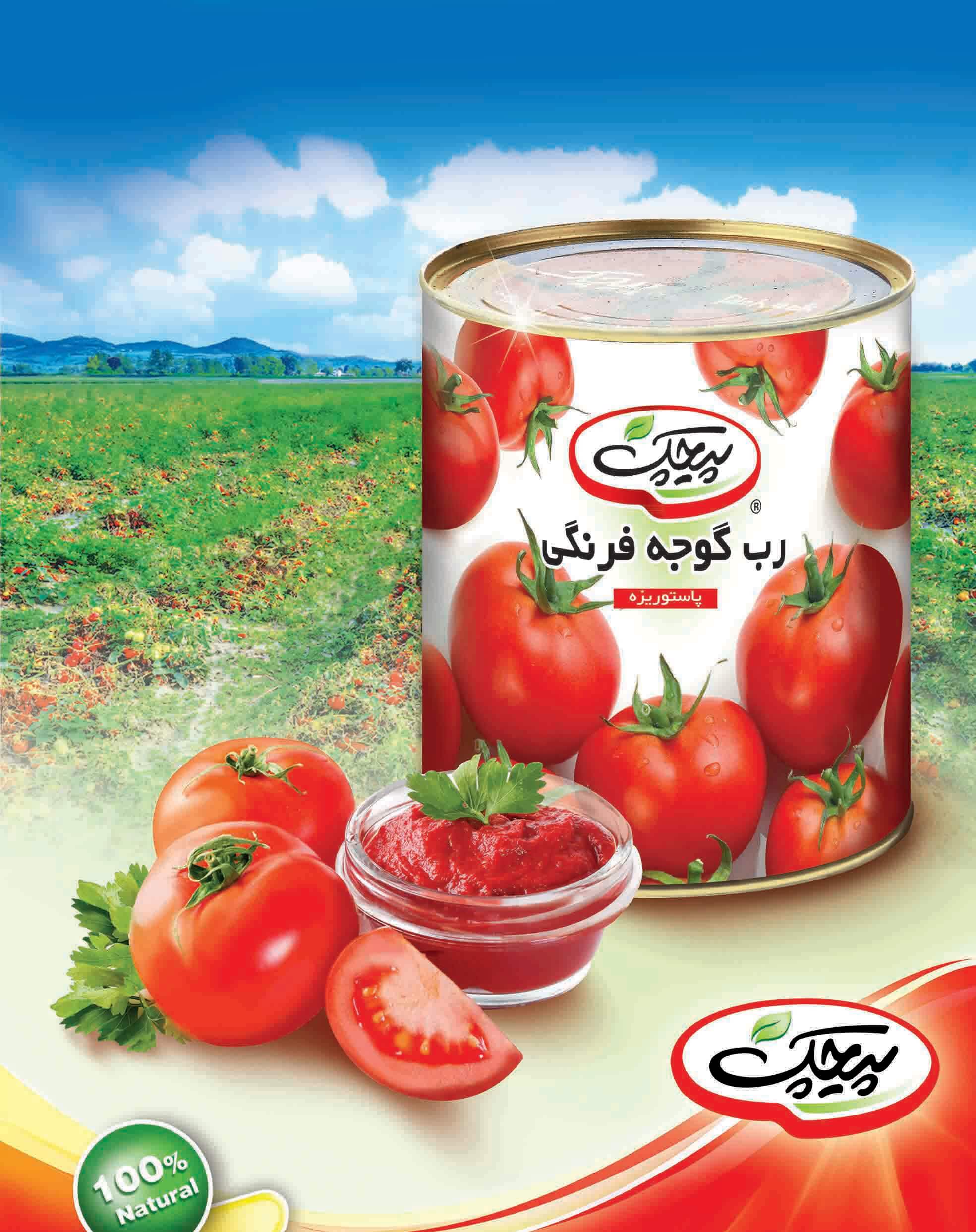 خرید رب گوجه فرنگی پیچک قیمت عمده خرید رب گوجه فرنگی پیچک قیمت عمده