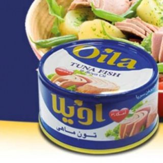 خرید کنسرو تن ماهی هوور اویلا قیمت عمده
