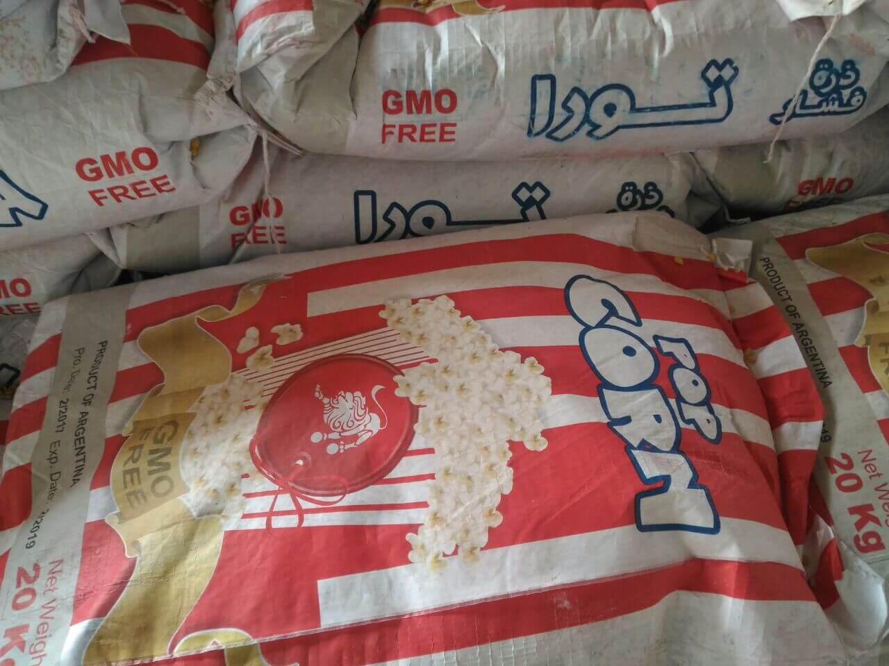 خرید ذرت پاپ کرن تیبا قیمت عمده pop corn خرید ذرت پاپ کرن تیبا قیمت عمده pop corn