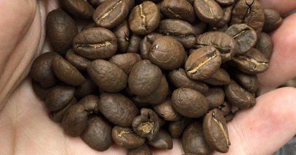 خرید دان قهوه اتیوپی قیمت عمده خرید انواع قهوه خرید دان قهوه اتیوپی قیمت عمده ، قیمت دان قهوه اتیوپی درجه یک، واردکننده اصلی دان قهوه اتیوپی ، مرکز فروش دان قهوه اتیوپی ، قیمت عمده دان قهوه اتیوپی ، Ethiopian coffee