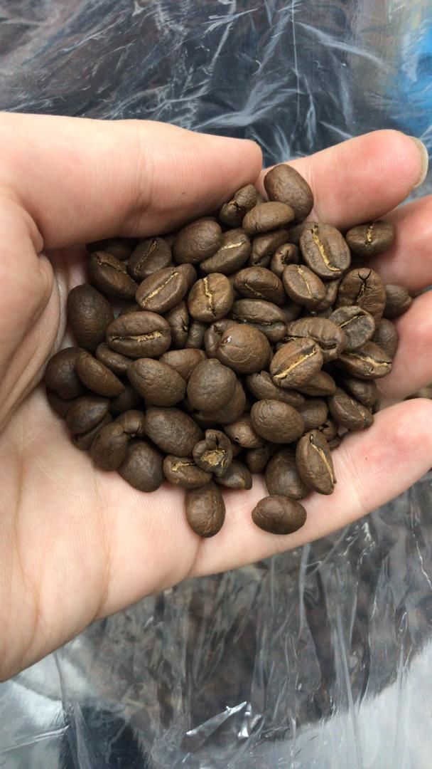خرید دان قهوه اتیوپی قیمت عمده خرید دان قهوه اتیوپی قیمت عمده ، قیمت دان قهوه اتیوپی درجه یک، واردکننده اصلی دان قهوه اتیوپی ، مرکز فروش دان قهوه اتیوپی ، قیمت عمده دان قهوه اتیوپی ، Ethiopian coffee