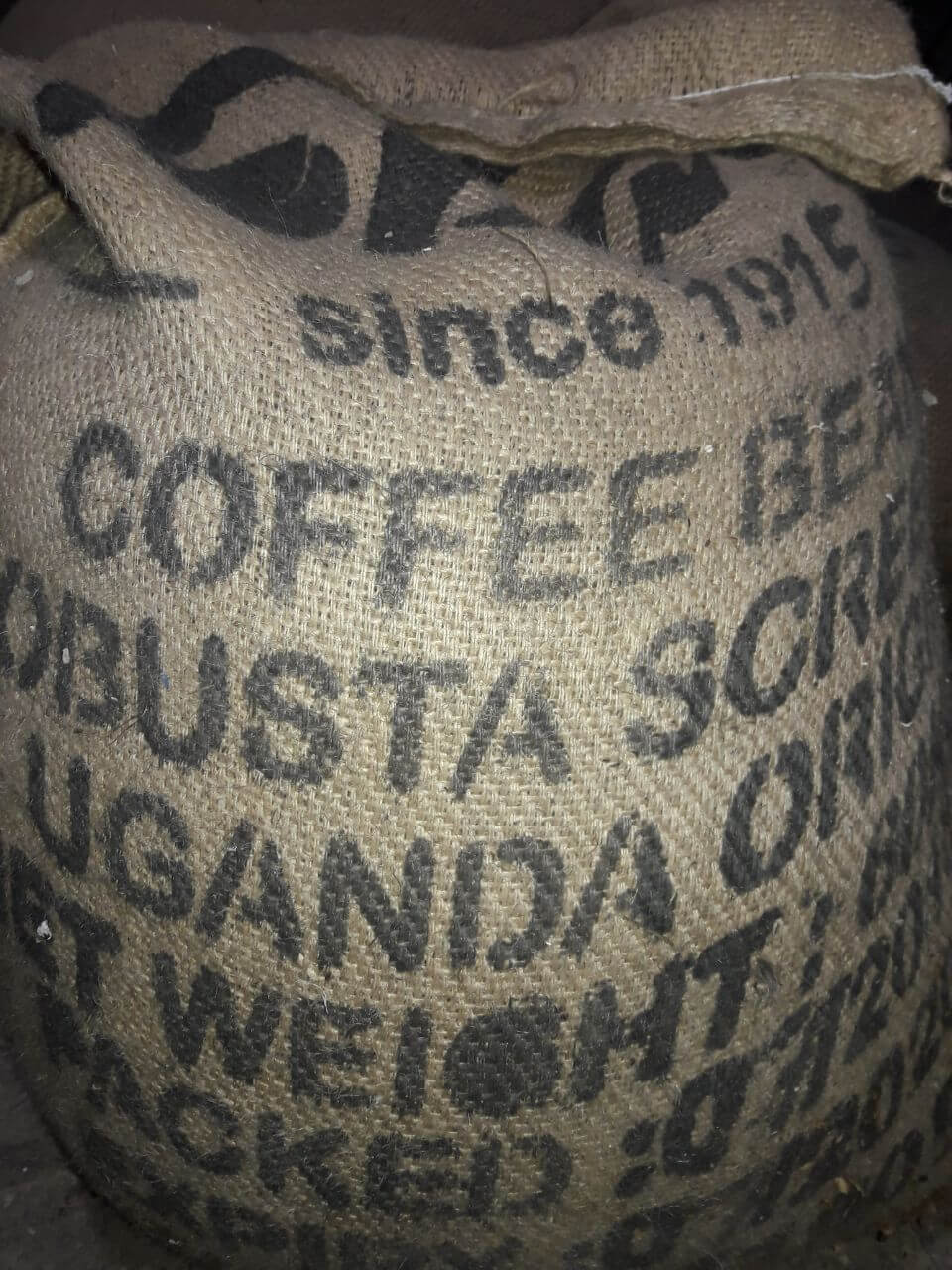 خرید دان قهوه اوگاندا قیمت عمده دان اوگاندا اسکرین ۱۸ گرید ۱ ، خرید دان قهوه اوگاندا قیمت عمده ، دان قهوه اوگاندا اسکرین ۱۸ روبستا