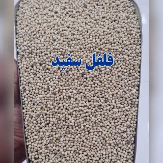 خرید دان و پودر فلفل سفید قیمت عمده