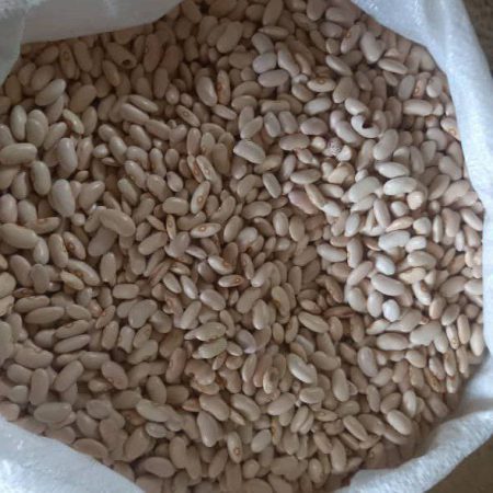 خرید عمده حبوبات - پخش عمده حبوبات از تهران